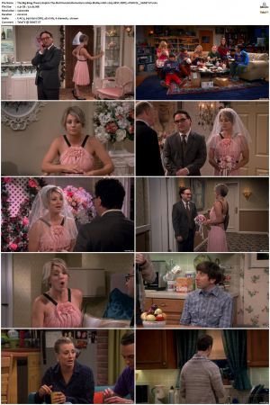 The Big Bang Theory S01-S12 1080p BluRay 10bit x265 HEVC DDP5.1-PHOCiS