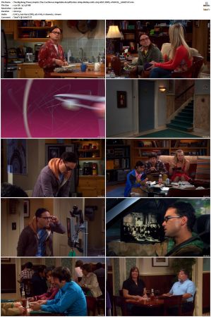 The Big Bang Theory S01-S12 1080p BluRay 10bit x265 HEVC DDP5.1-PHOCiS