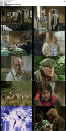 Shadows S01 S03 DVDRip XviD-NOGRP