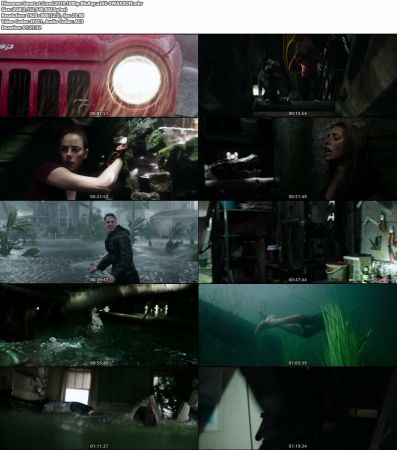 Crawl 2019 1080p BluRay x265-SWAXXON