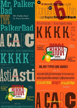 Fonts Family Palker Dadson Webfont &amp; Desktop