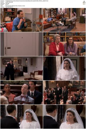 The Big Bang Theory S01-S12 1080p BluRay 10bit x265 HEVC DDP5.1-PHOCiS