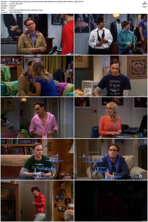 The Big Bang Theory S01-S12 1080p BluRay 10bit x265 HEVC DDP5.1-PHOCiS