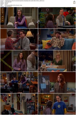 The Big Bang Theory S01-S12 1080p BluRay 10bit x265 HEVC DDP5.1-PHOCiS