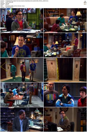 The Big Bang Theory S01-S12 1080p BluRay 10bit x265 HEVC DDP5.1-PHOCiS