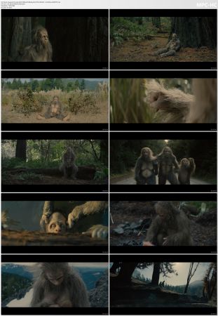 Sasquatch Sunset 2024 1080p AUS BluRay AVC DTS-HD MA 5.1-CultFilms™