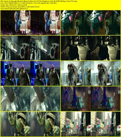 Teenage Mutant Ninja Turtles Out Of The Shadows 2016 3D HSBS BluRay x264-YTS