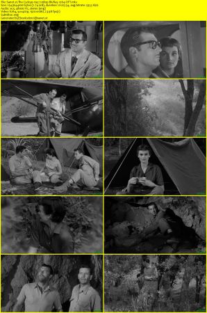 The Cyclops 1957 1080p BluRay x264-OFT