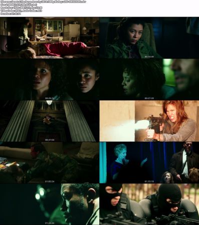 The Purge Anarchy 2014 1080p BluRay x265-SWAXXON