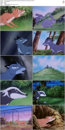 The Animals of Farthing Wood S01 S03 XviD x264-NOGRP