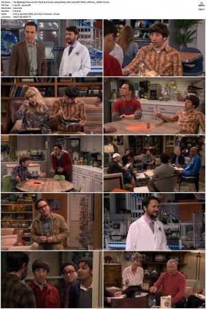 The Big Bang Theory S01-S12 1080p BluRay 10bit x265 HEVC DDP5.1-PHOCiS