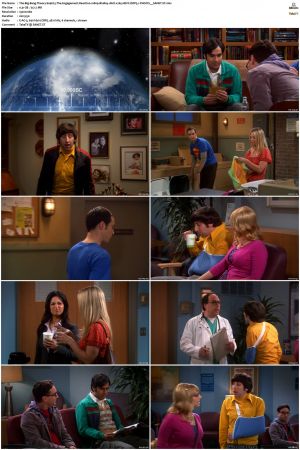 The Big Bang Theory S01-S12 1080p BluRay 10bit x265 HEVC DDP5.1-PHOCiS