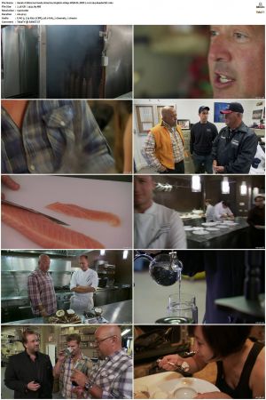 Bizarre Foods America S03 1080p WEB-DL DDP 2 0 H264-deadorbit