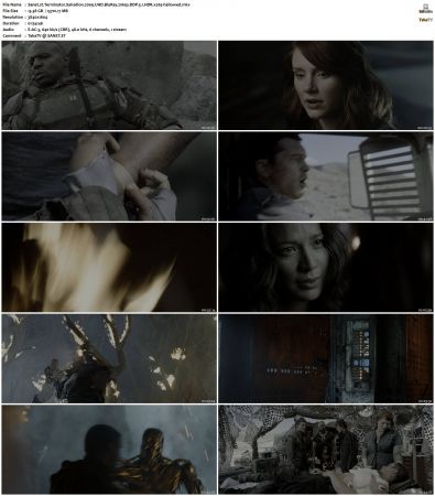 Terminator Salvation 2009 UHD BluRay 2160p DDP 5.1 HDR x265-hallowed