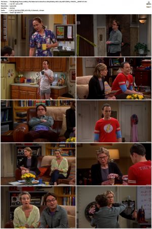 The Big Bang Theory S01-S12 1080p BluRay 10bit x265 HEVC DDP5.1-PHOCiS