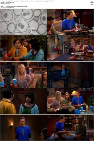 The Big Bang Theory S01-S12 1080p BluRay 10bit x265 HEVC DDP5.1-PHOCiS