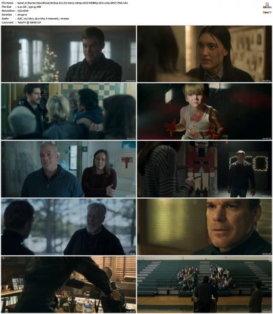 Dexter New Blood S01 1080p 10bit WEBRip 6CH x265 HEVC-PSA