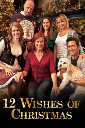 12 Wishes Of Christmas (2011) 1080p WEBRip x264 AAC 5.1-LAMA