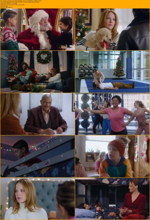Christmas Movie Pack Pt 4 1080p BRRip x264 AC3 DiVERSiTY