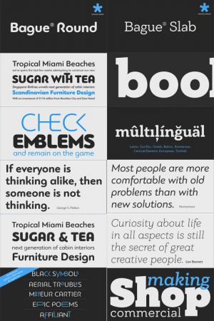 Fonts Family Bague Round &amp; Bague Slab Pro