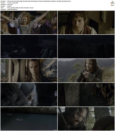 The Lord of the Rings The Fellowship of the Ring 2001 Theatrical UHD BluRay 2160p DDP 7.1 DV HDR x265-hallowed
