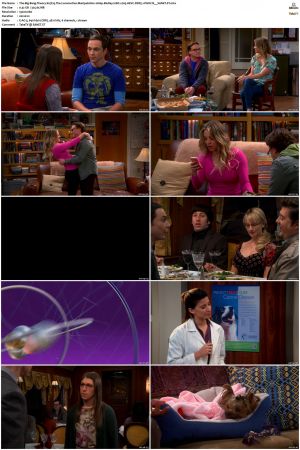 The Big Bang Theory S01-S12 1080p BluRay 10bit x265 HEVC DDP5.1-PHOCiS