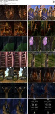 Shrek 2 2004 1080p 3D HSBS BluRay x264-SUP3R