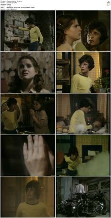 Shadows S01 S03 DVDRip XviD-NOGRP