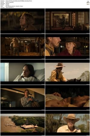 Territory 2024 S01 720p NF WEBRip x264-GalaxyTV