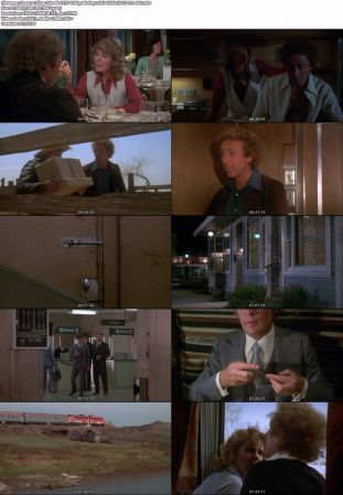 Silver Streak 1976 1080p BluRay x265 10bit EAC3 5.1 r00t
