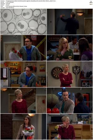 The Big Bang Theory S01-S12 1080p BluRay 10bit x265 HEVC DDP5.1-PHOCiS