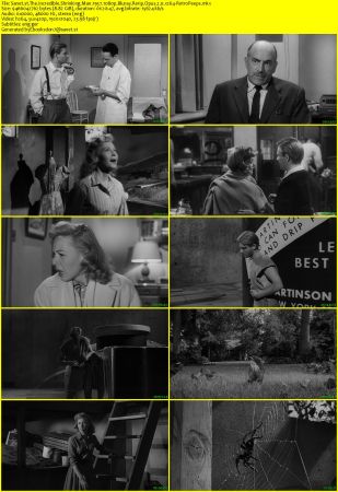 The Incredible Shrinking Man 1957 1080p Bluray Rerip Opus 2.0 x264-RetroPeeps