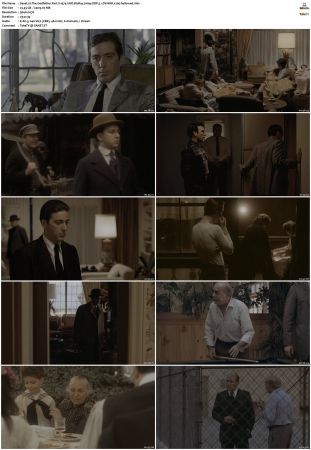 The Godfather Part II 1974 UHD BluRay 2160p DDP 5.1 DV HDR x265-hallowed