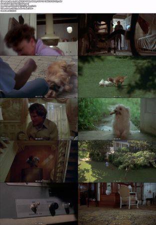 Benji 1974 1080p BluRay DDP 2.0 10bit H265-iVy