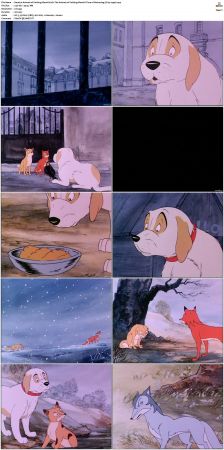 The Animals of Farthing Wood S01 S03 XviD x264-NOGRP
