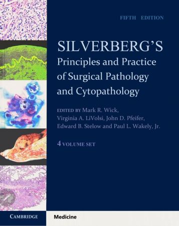 Silverberg's Principles and Practice of Surgical Pathology and Cytopathology 4 Volume Set 5th Edition
