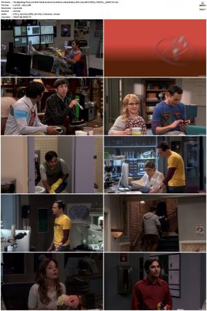 The Big Bang Theory S01-S12 1080p BluRay 10bit x265 HEVC DDP5.1-PHOCiS