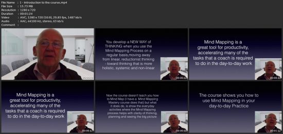Mind Mapping For Coaches, Mentors And Business Consultants