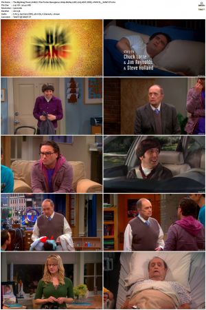 The Big Bang Theory S01-S12 1080p BluRay 10bit x265 HEVC DDP5.1-PHOCiS