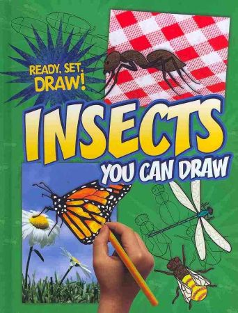 Insects You Can Draw