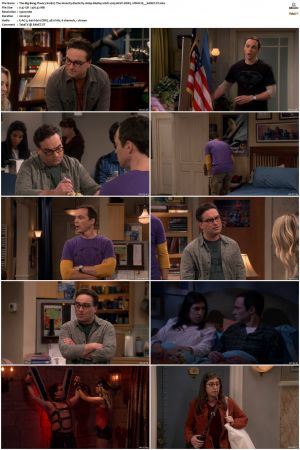 The Big Bang Theory S01-S12 1080p BluRay 10bit x265 HEVC DDP5.1-PHOCiS