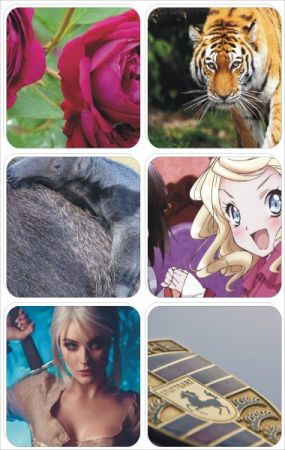 Mix Beautiful Wallpapers Best Collection pack 533