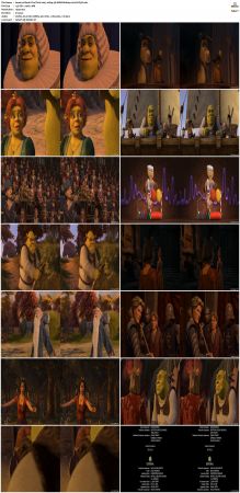 Shrek The Third 2007 1080p 3D HSBS BluRay x264-SUP3R