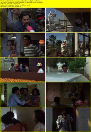 Which Way Is Up 1977 1080p BluRay x264 AAC-LAMA