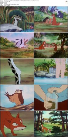 The Animals of Farthing Wood S01 S03 XviD x264-NOGRP