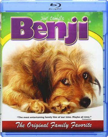 Benji 1974 1080p BluRay DDP 2.0 10bit H265-iVy