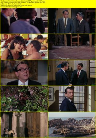 That Riviera Touch 1966 1080p WEBRip x264 AAC-LAMA