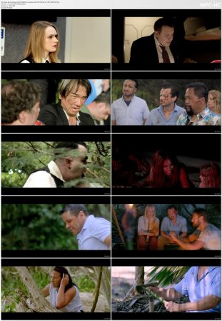 Bermuda Island 2023 1080p BluRay Remux AVC DTS-HD MA 5.1-HDT