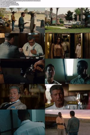 2 Guns 2013 NORDiC 1080p WEB-DL H265 DD 5.1-CiNEMiX