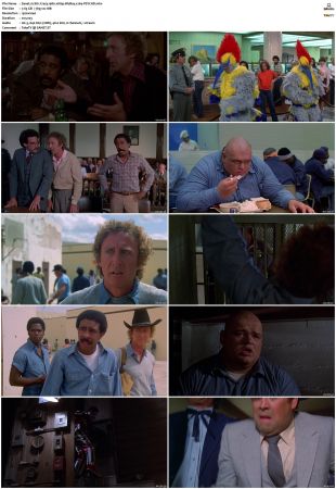 Stir Crazy 1980 1080p BluRay x264-PSYCHD